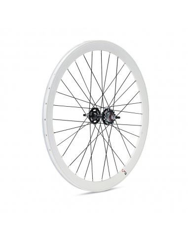 RUEDA TRASERA GURPIL PISTA FIXED 42...