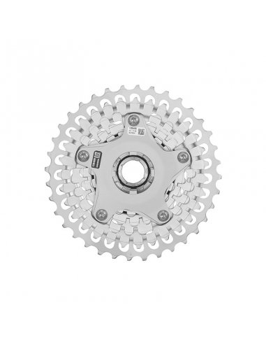 CASSETTE CAMPAGNOLO EKAR 13V (9-36D)