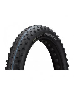 CUBIERTA SCHWALBE JUMBO JIM...