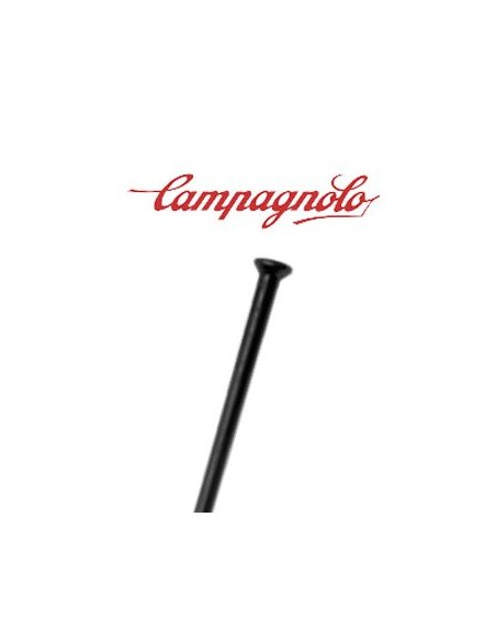 Radios Campagnolo